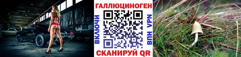 Галлюциногенные грибы GOLDEN TEACHER  ОМГ ОМГ онион  Ак-Довурак 